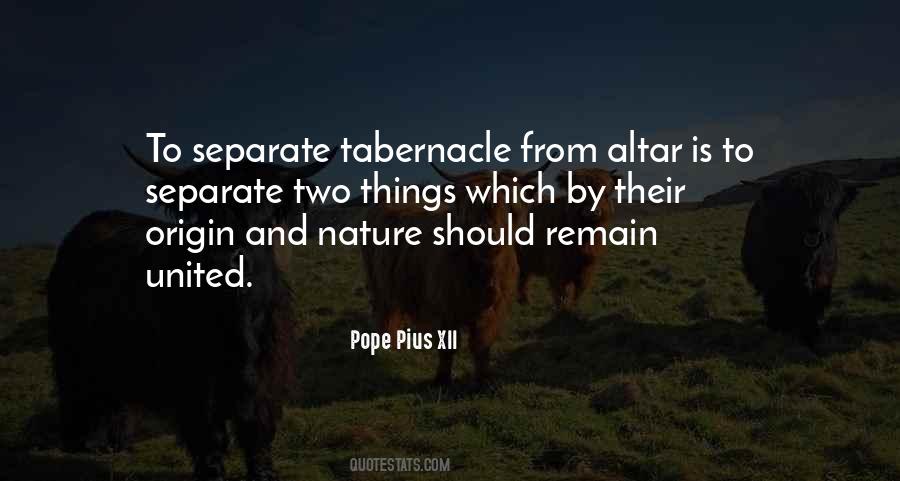 Pius X Quotes #564429