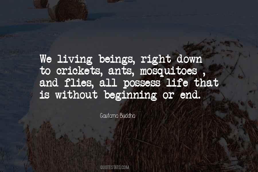 Quotes On Cricket Is My Life #551437