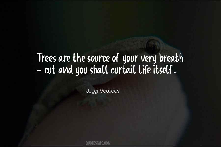 Quotes On Cutting Trees #512422