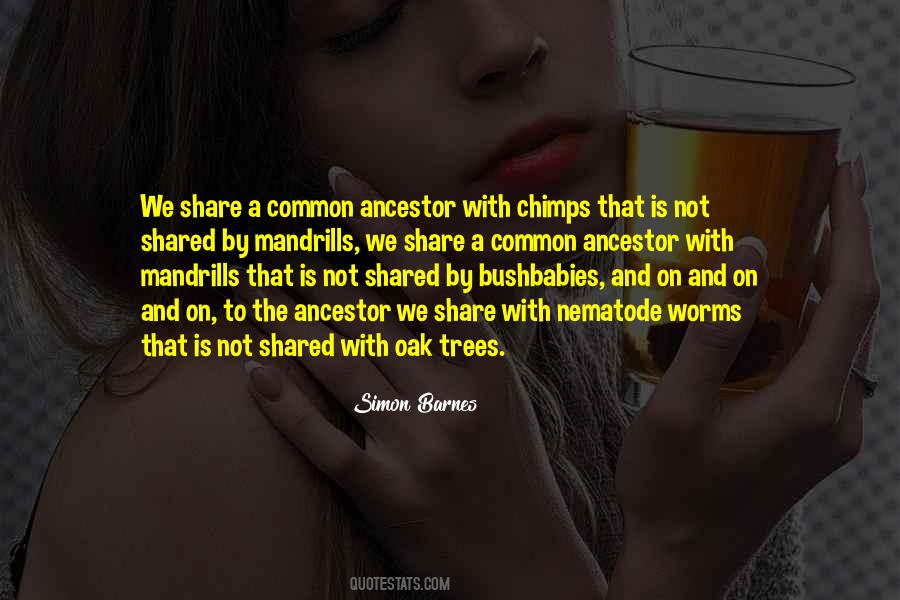 Leadership Caring Quotes #1131108