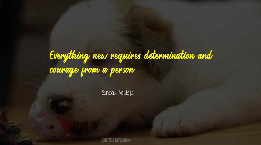 Quotes On Determination And Courage #1549970