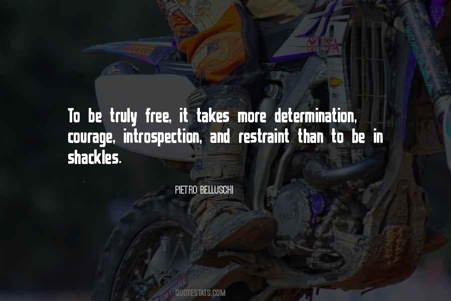 Quotes On Determination And Courage #757185