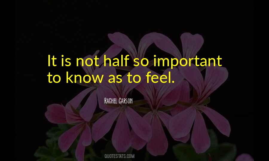 Quotes On Diwali Festival Of Lights #133233