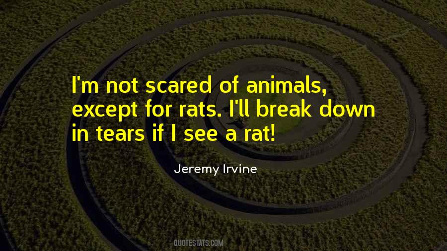 Not Scared Quotes #274019