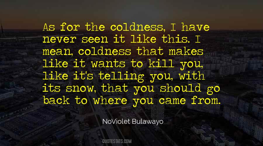 Bulawayo Quotes #49703