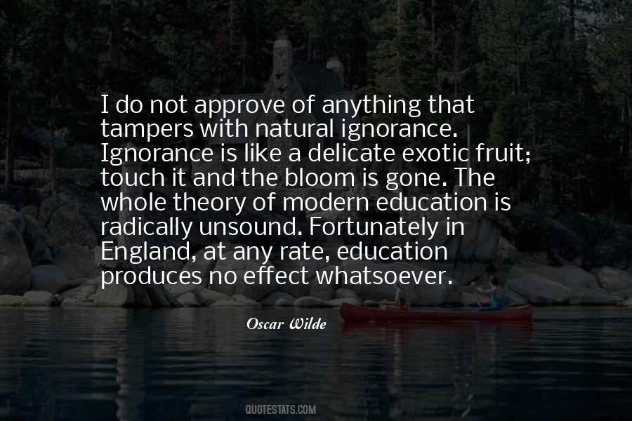 Quotes On Education And Ignorance #451457