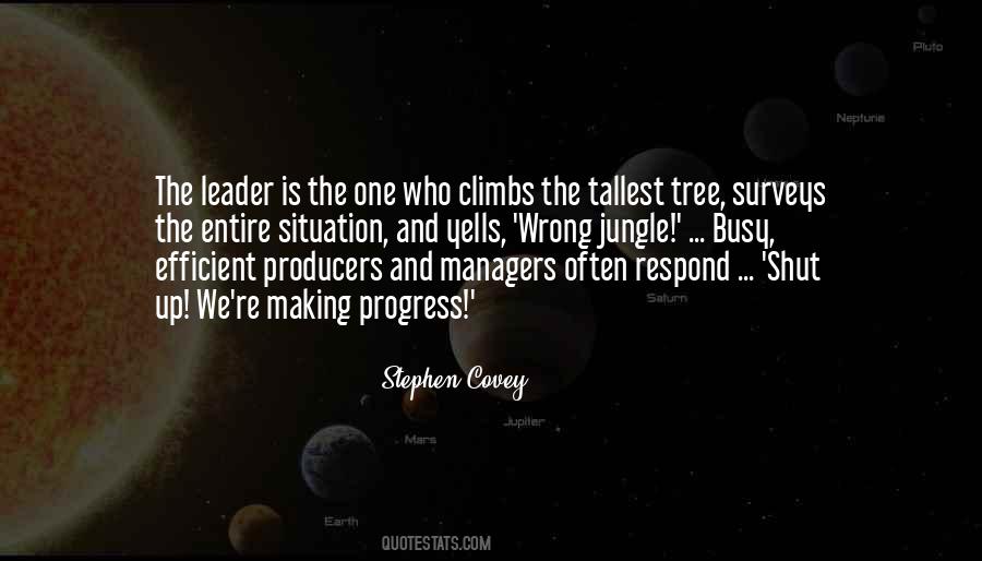 Quotes On Efficient Leader #683901