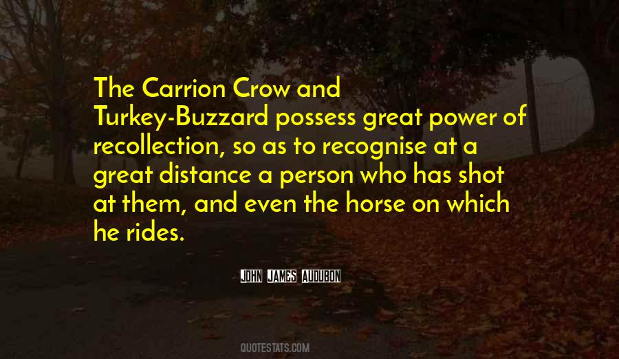 Turkey Buzzard Quotes #341448