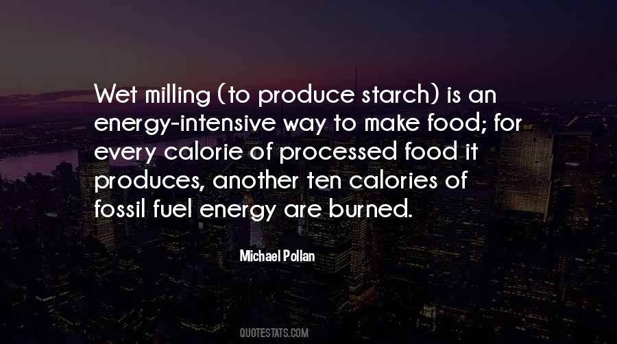 Food For Fuel Quotes #358867