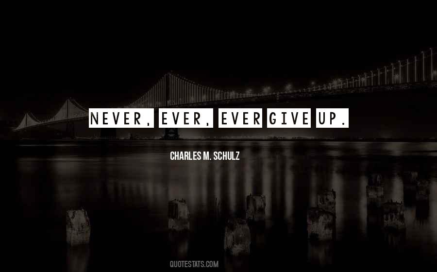Never Give Up Persistence Quotes #1441881