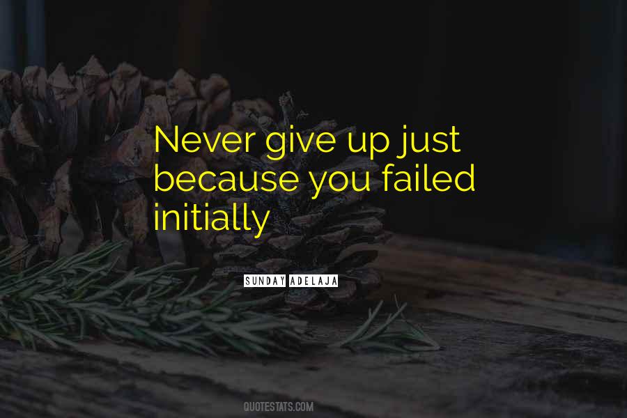 Never Give Up Persistence Quotes #413630