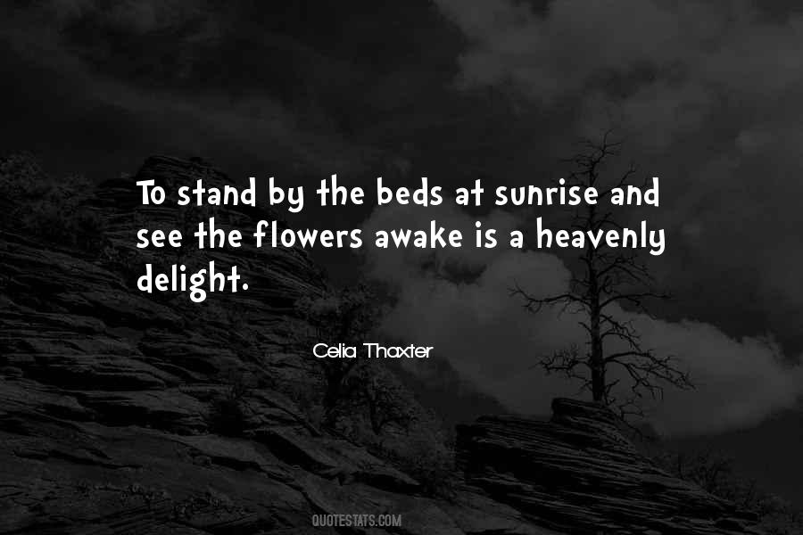 Quotes On Flower Beds #724251