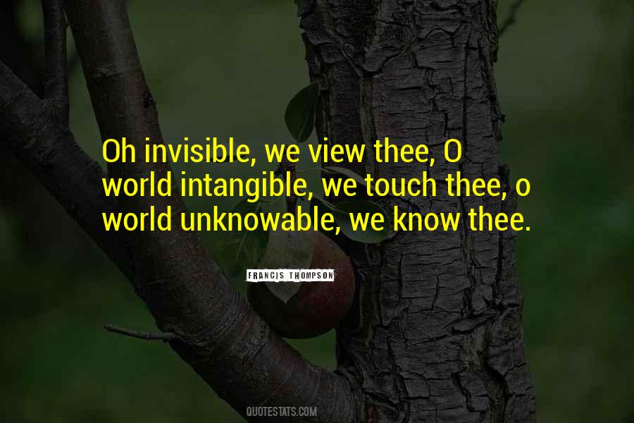 Invisible Women Quotes #865114