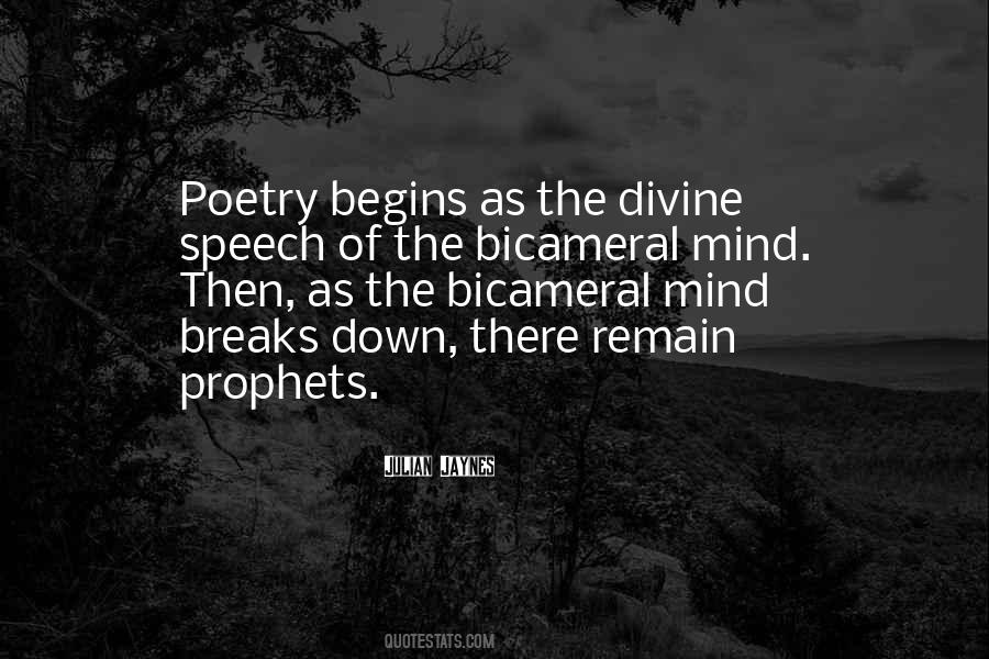 Shin Tsukimi Quotes #808292