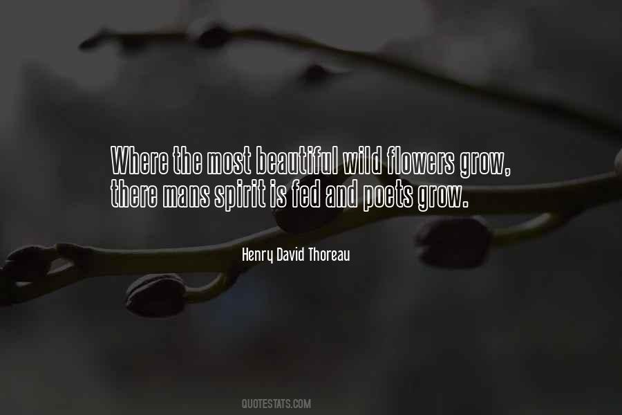 Beautiful Spirit Quotes #1049172