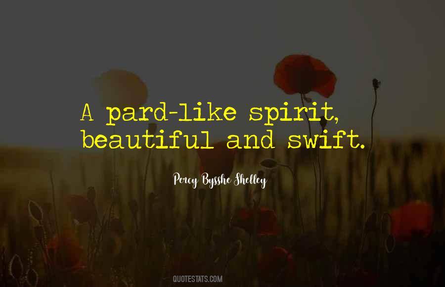 Beautiful Spirit Quotes #73333