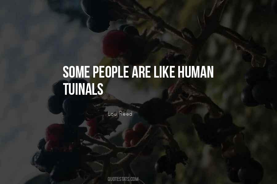 From New Sensations Quotes #1135310