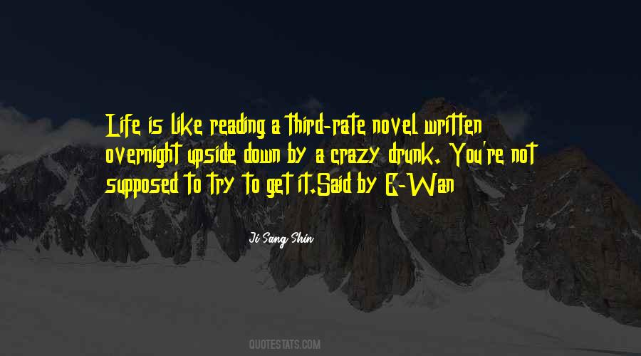 Quotes About Novel Reading #225952