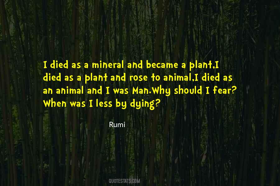 Man As Animal Quotes #1569848