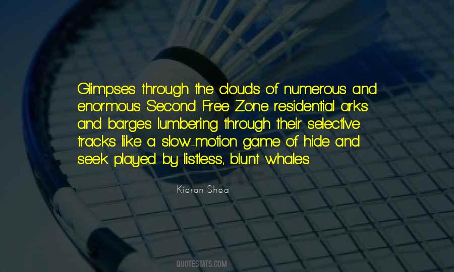 A Game Of Hide And Seek Quotes #1209375