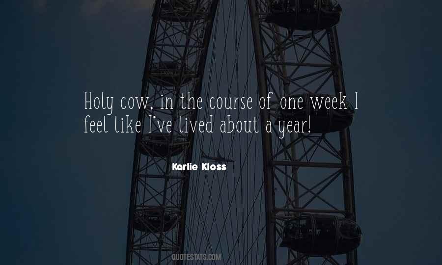 Quotes On Holy Cow #1432561