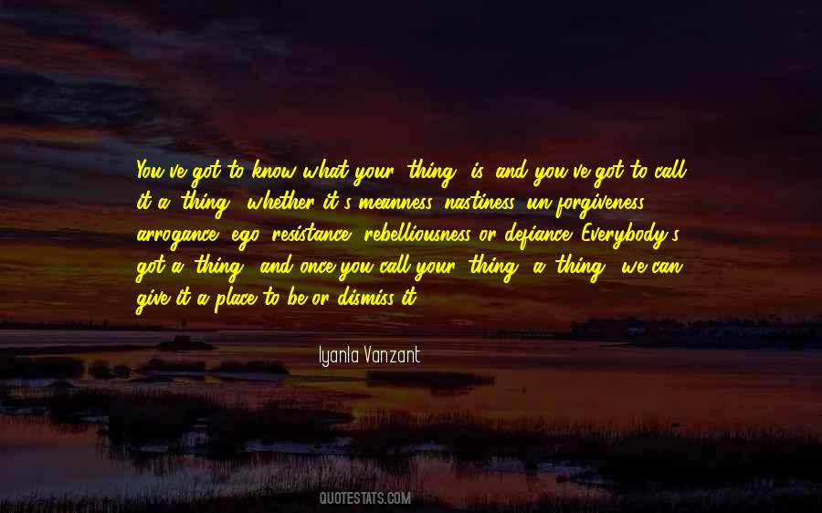 Un Forgiveness Quotes #426235