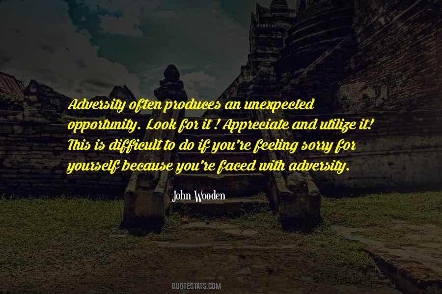 Unexpected Opportunity Quotes #864447