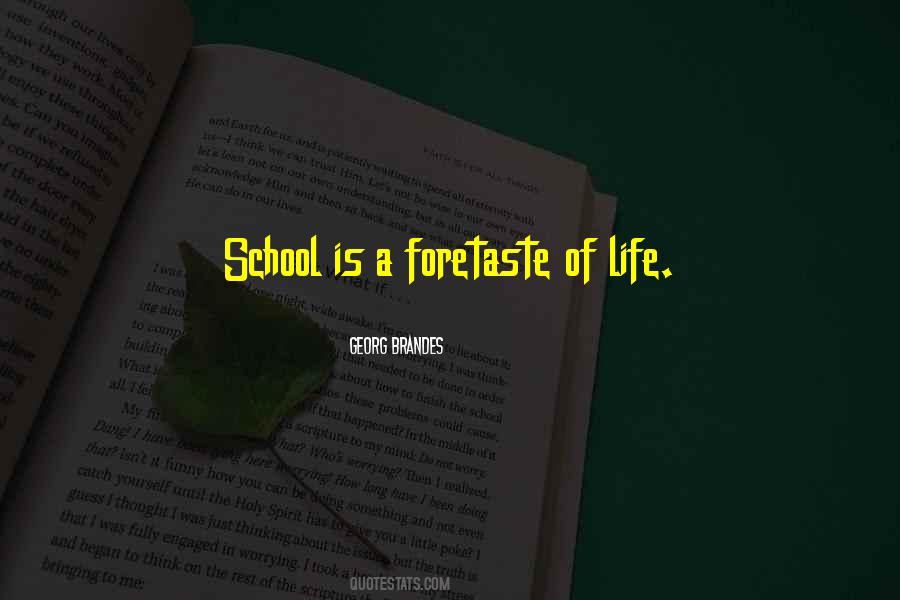 Quotes On Indian Premier League #770693