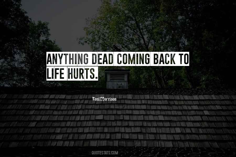 Life Hurts Quotes #987390