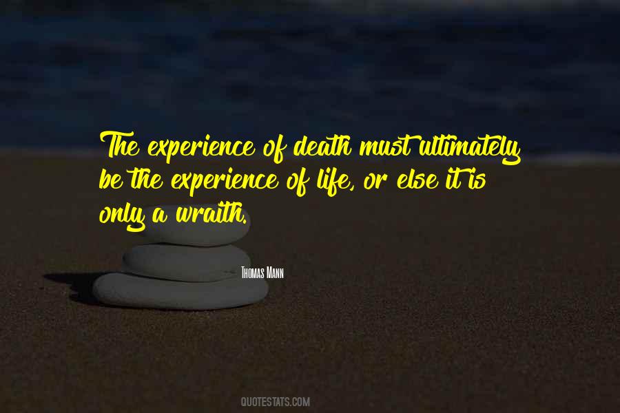 Death Experience Quotes #380215