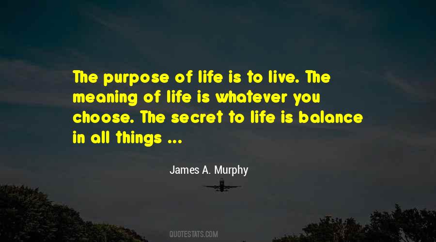 Quotes On Life Of Purpose #48143