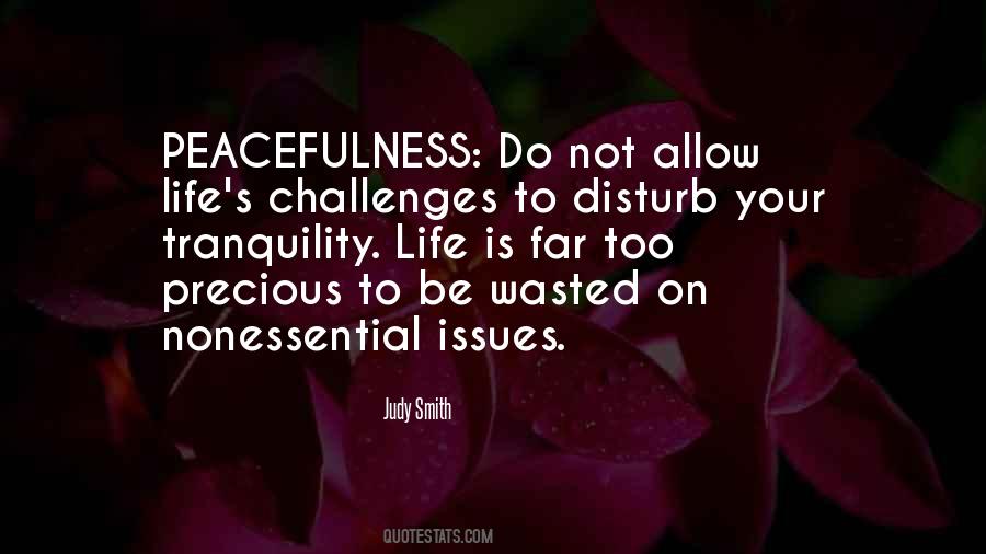 Quotes On Life Without Challenges #84617