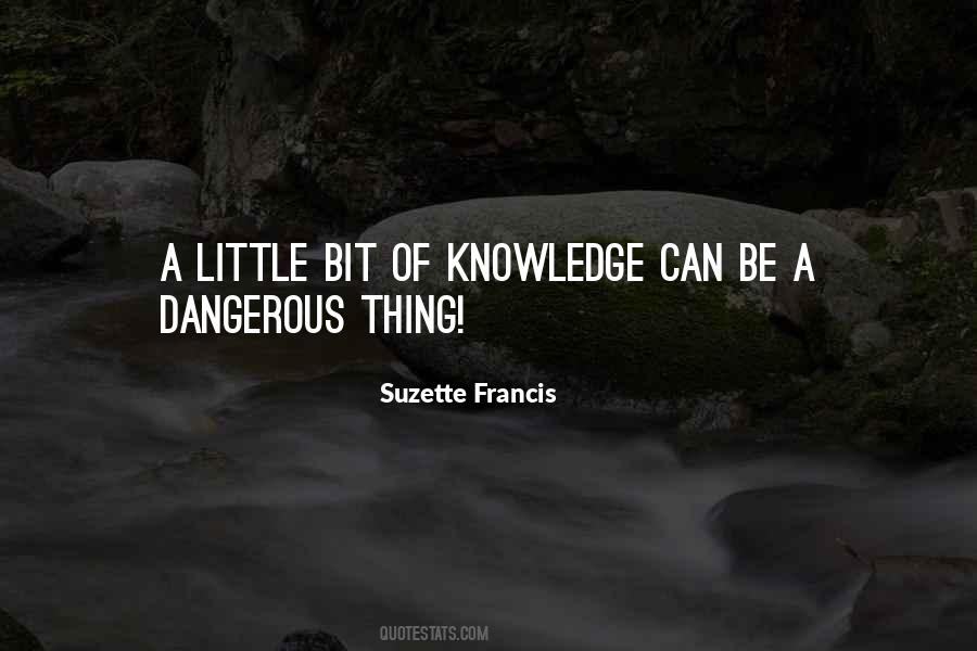 Quotes On Little Knowledge Is A Dangerous Thing #758726
