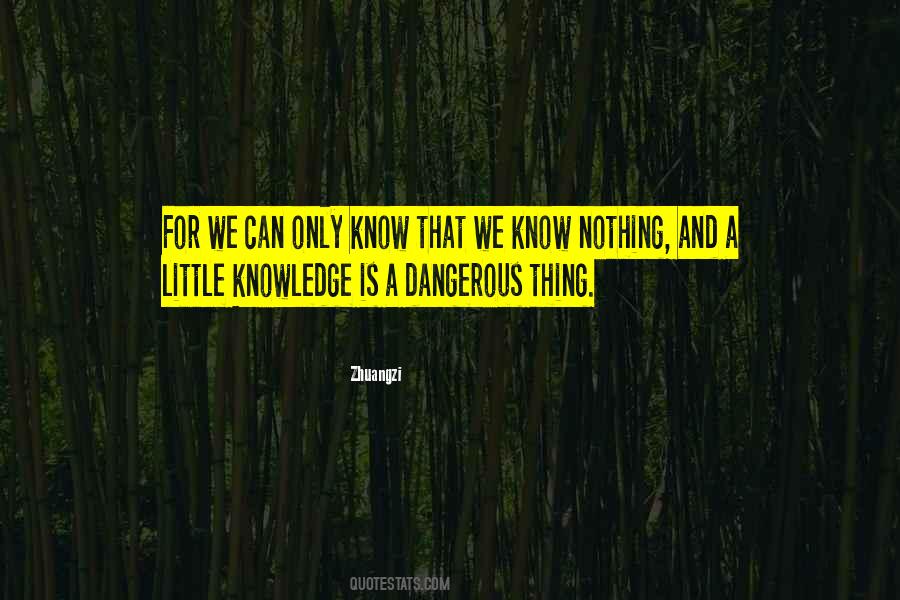 Quotes On Little Knowledge Is A Dangerous Thing #850357