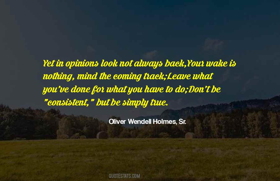 Quotes On Looking Back To Look Forward #1233206