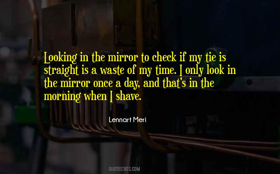 Quotes On Looking In A Mirror #1654518