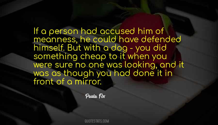 Quotes On Looking In A Mirror #52888