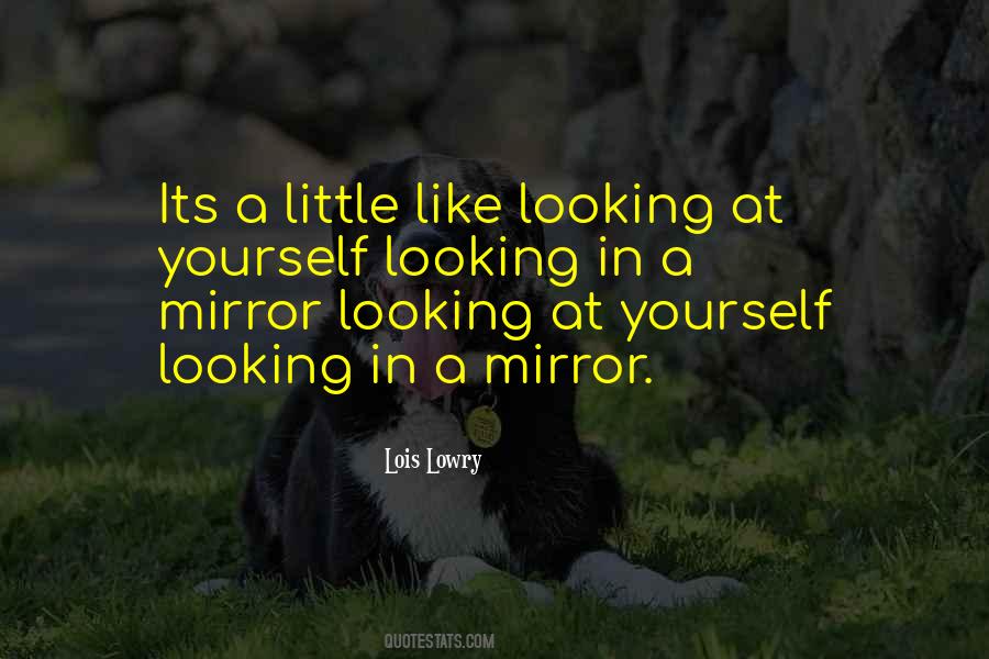 Quotes On Looking In A Mirror #9866
