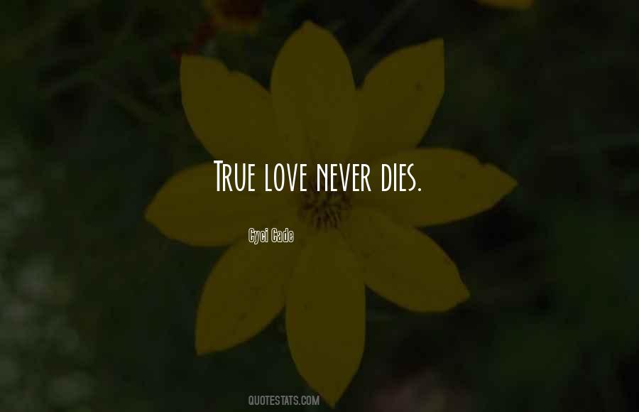Quotes On Love Never Dies #1654818