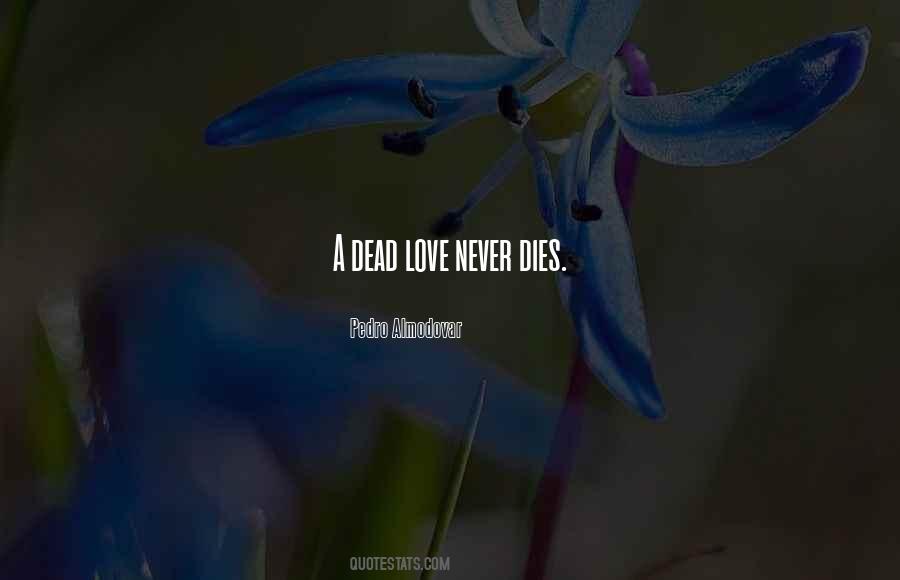 Quotes On Love Never Dies #975840