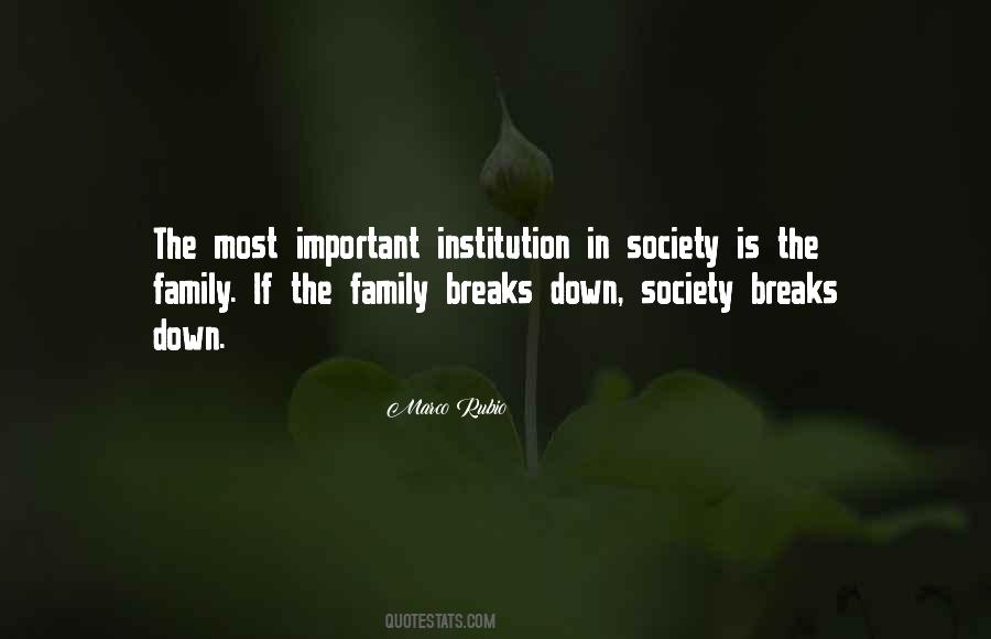 Family As An Institution Quotes #1489468