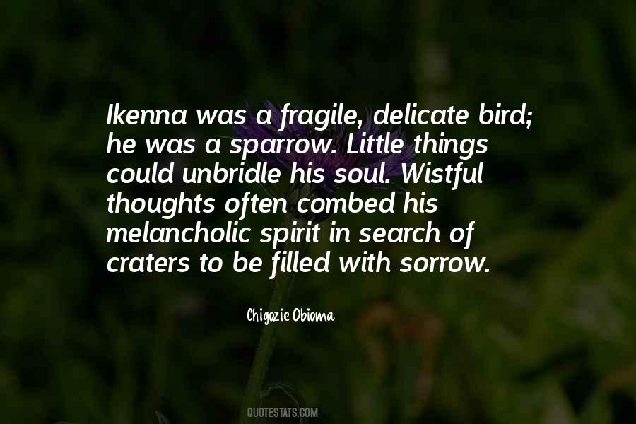 Soul Search Quotes #873555