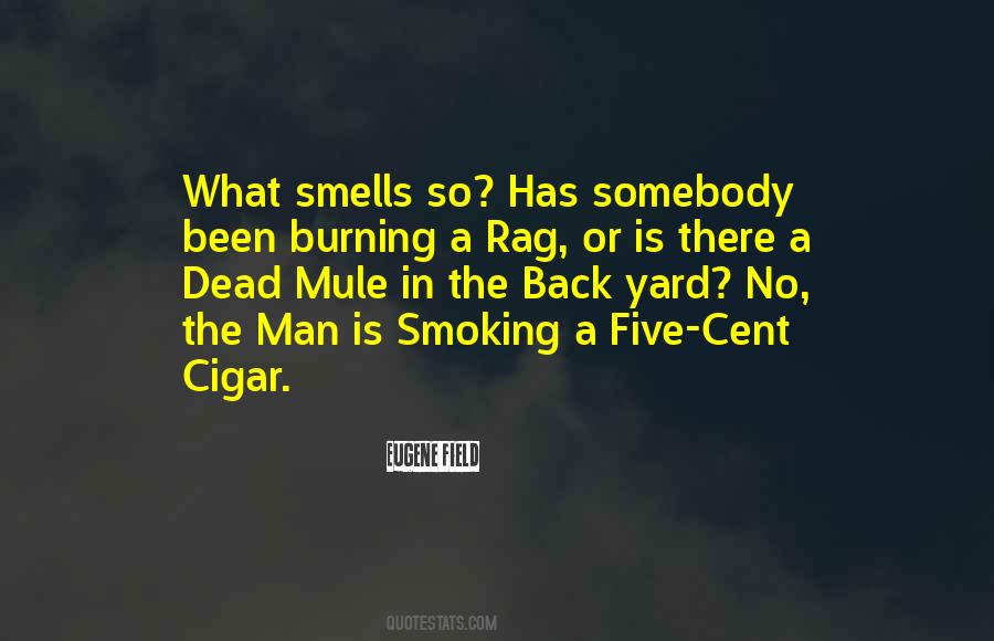 Quotes On No Smoking #1171538
