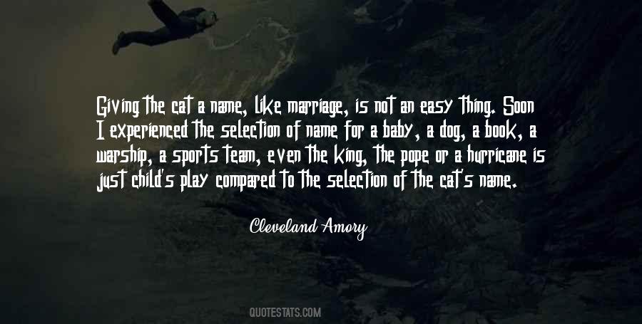 Quotes On Not Giving Up On Your Marriage #104331