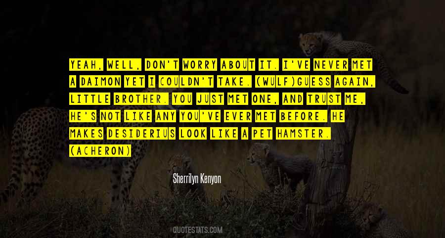 Quotes On Not To Worry About The Little Things #716944