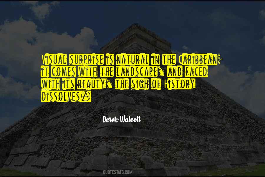 History Of Beauty Quotes #469082