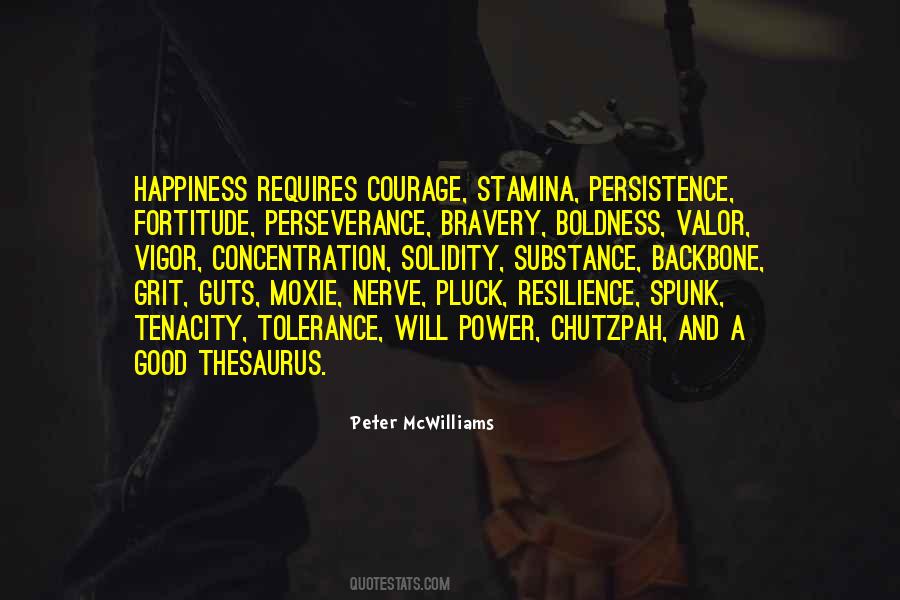Quotes On Perseverance And Persistence #388237