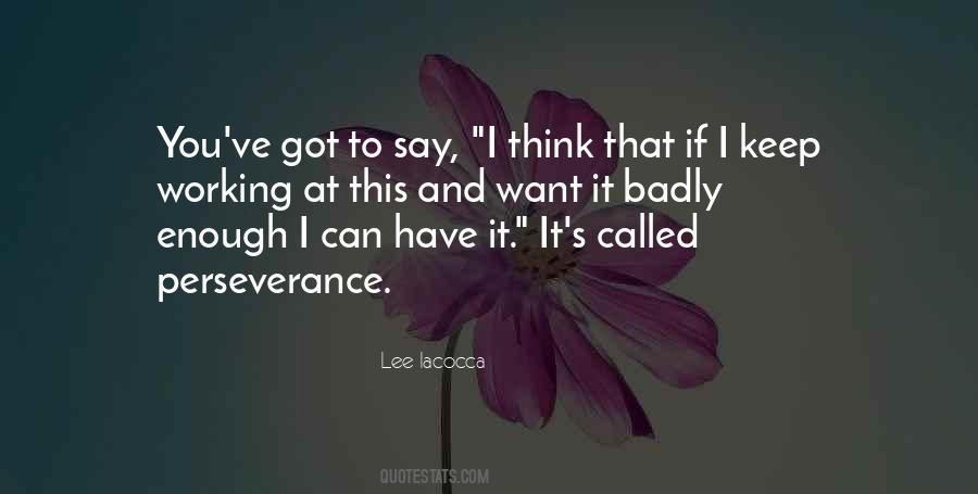 Quotes On Perseverance And Persistence #497448