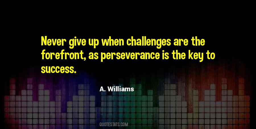 Quotes On Perseverance Is The Key To Success #1142900