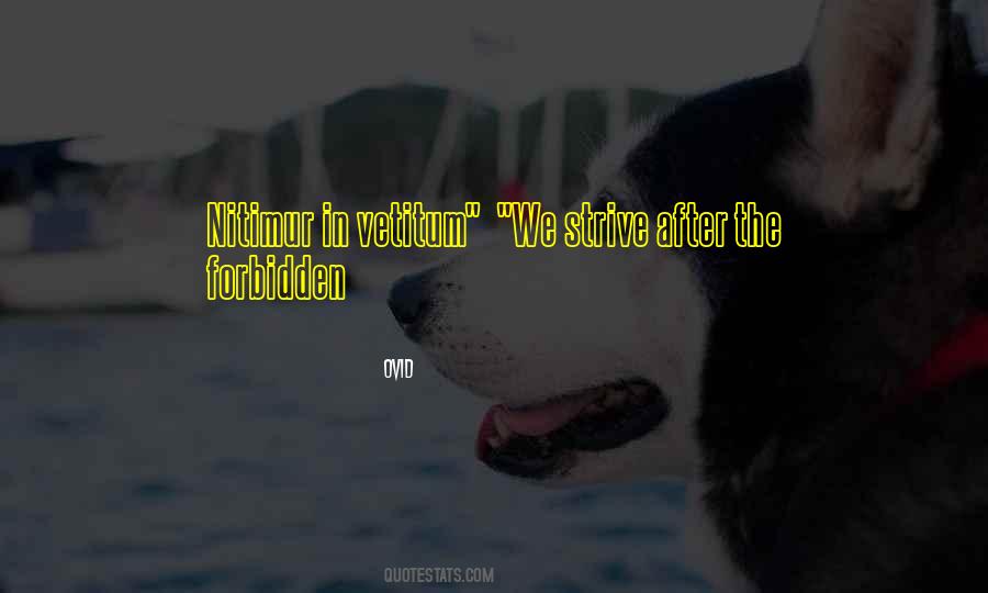 Nitimur In Vetitum Quotes #1798451